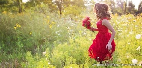 How to download Dreamstime images for free .